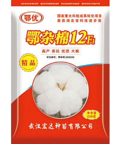 鄂雜棉12F1