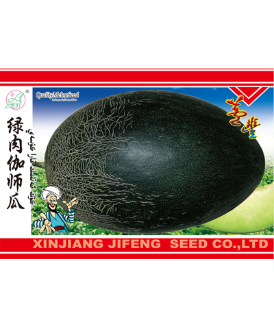 哈密瓜種子--雜交伽師瓜