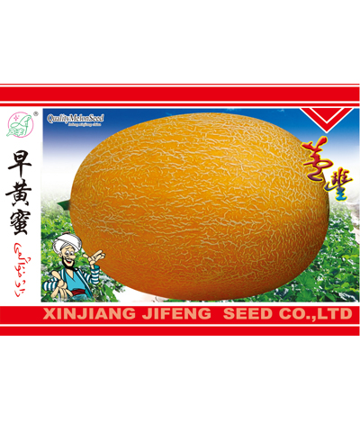 早黃蜜