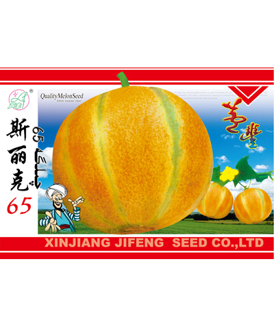 斯麗克65