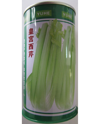 皇宮西芹