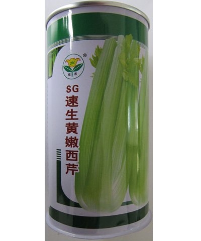 SG速生黃嫩西芹