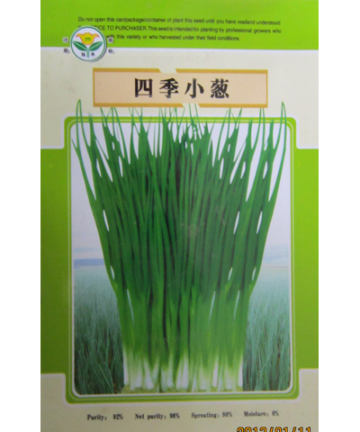 四季小蔥