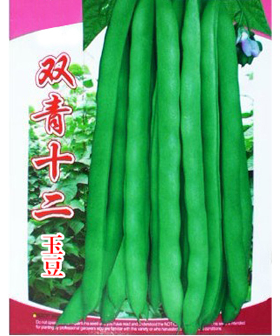 雙青12號(hào)玉豆