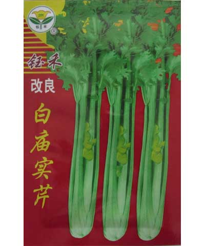 改良白廟實(shí)芹