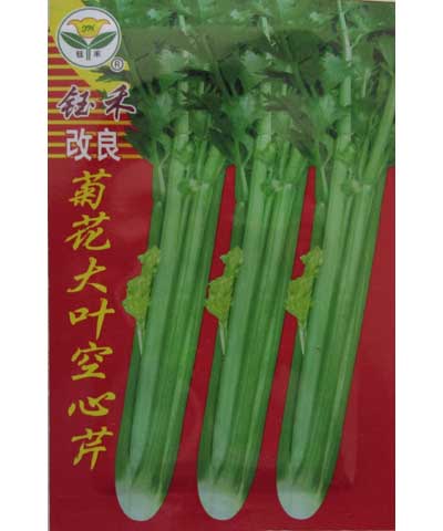 改良菊花大葉空芹