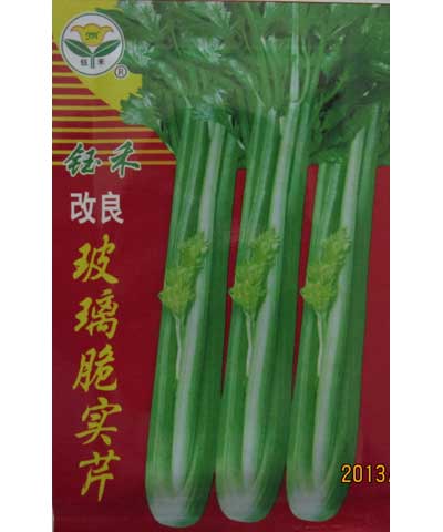 改良玻璃脆實(shí)芹