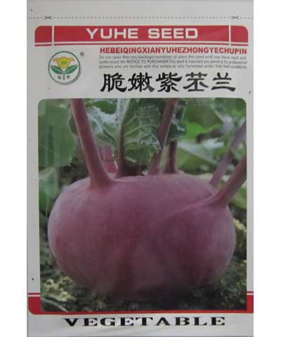 紫苤蘭