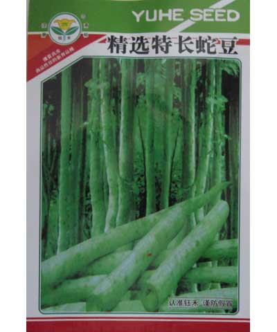 精選特長(zhǎng)蛇豆