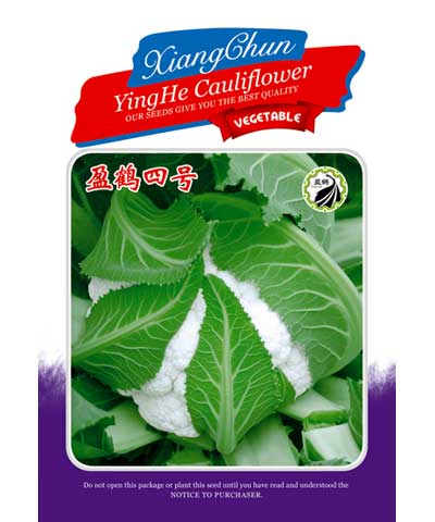 盈鶴四號(hào)