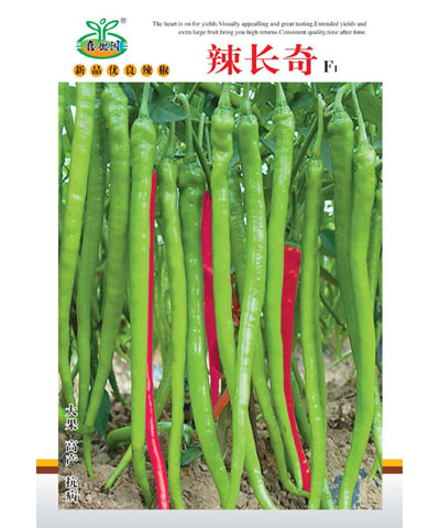 辣長(zhǎng)奇