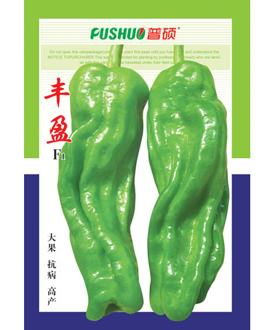 豐盈