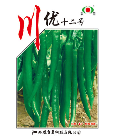 川優(yōu)12號(hào)