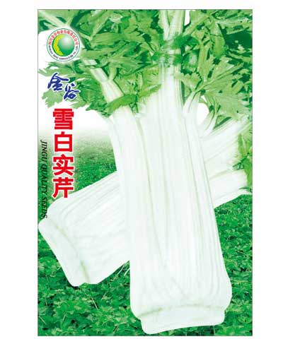 雪白實(shí)芹