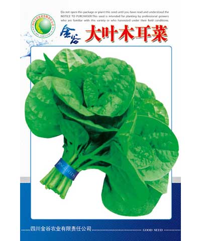 大葉木耳菜