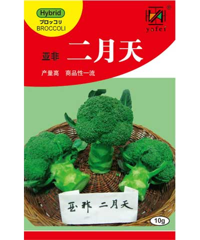亞非二月天