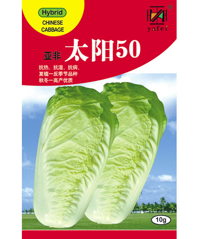 亞非太陽50