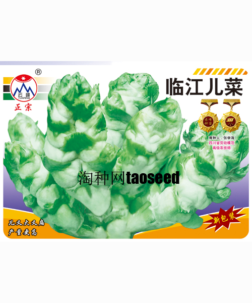 臨江兒菜