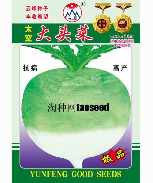 太空大頭菜