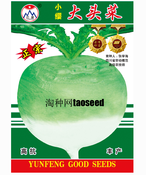 小纓大頭菜