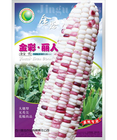 金彩·麗人