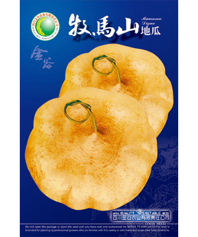牧馬山地瓜