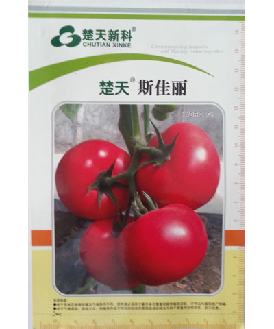 斯佳麗