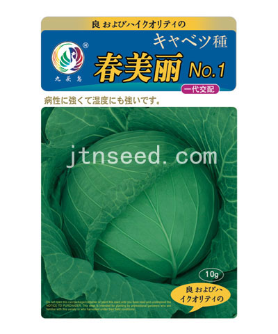 春美麗