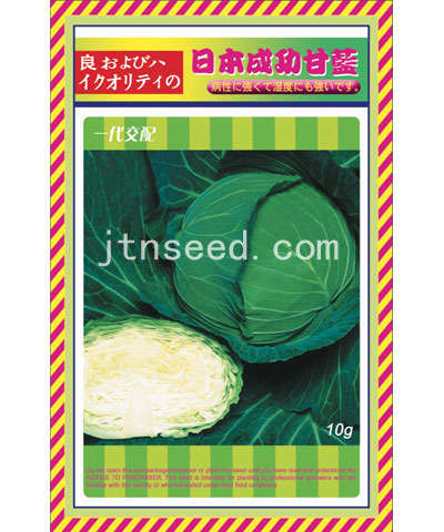 日本成功甘藍(lán)