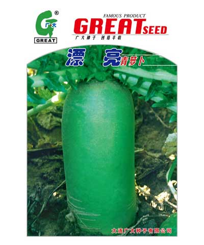 漂亮青蘿卜