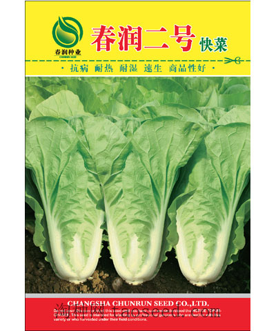 春潤二號快菜