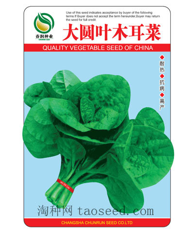 大圓葉木耳菜
