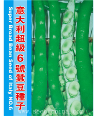 意大利超級6號1公斤