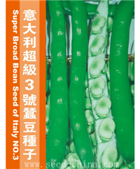 意大利超級3號1公斤