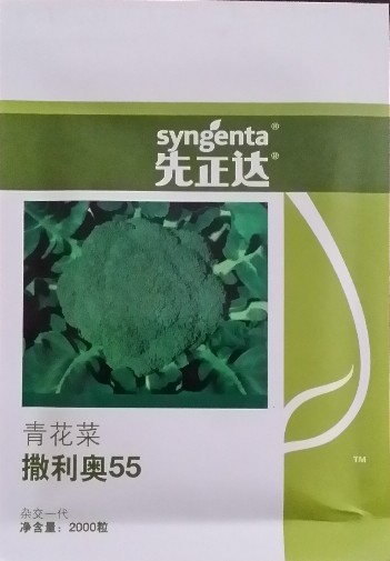 撒利奧55