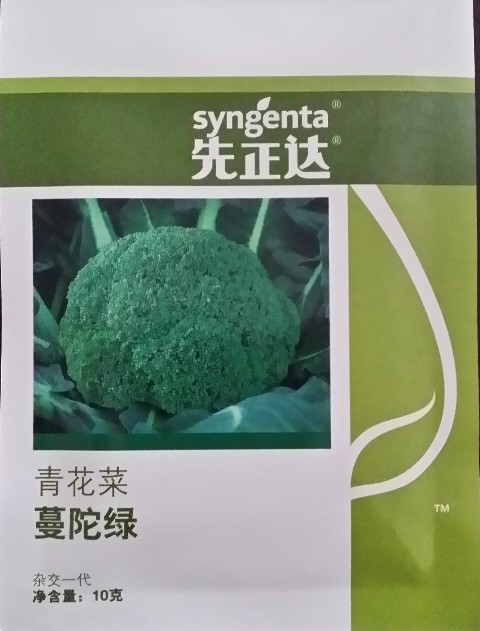 蔓陀綠