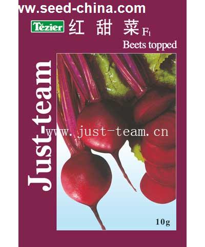 紅甜菜--甜菜