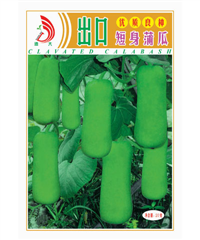 出口短身蒲瓜