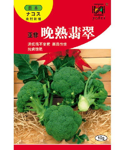 亞非晚熟翡翠