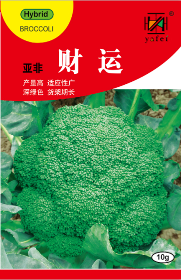 亞非財運(yùn)