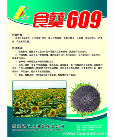 食葵609
