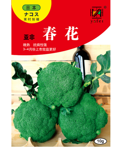 亞非春花