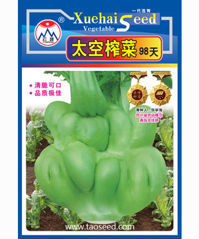 太空榨菜