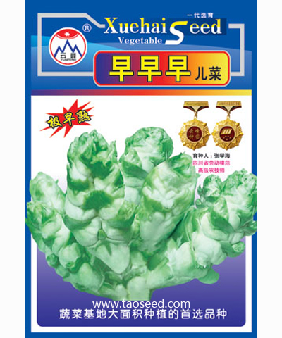 早早早兒菜