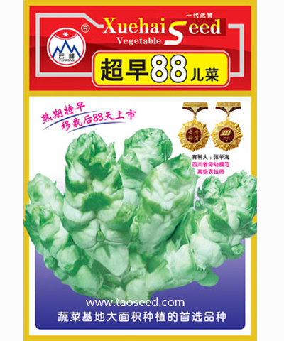 超早88天兒菜
