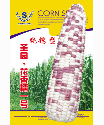 圣園花香糯一號