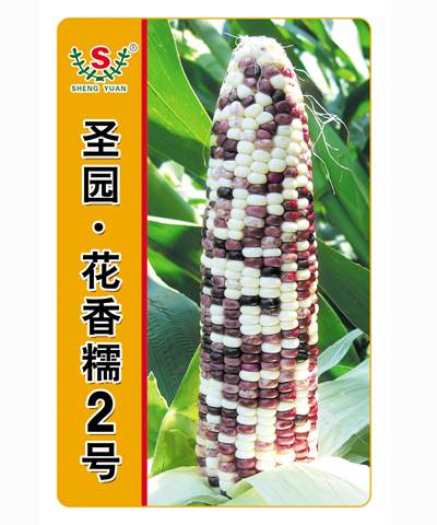 圣園花香糯2號