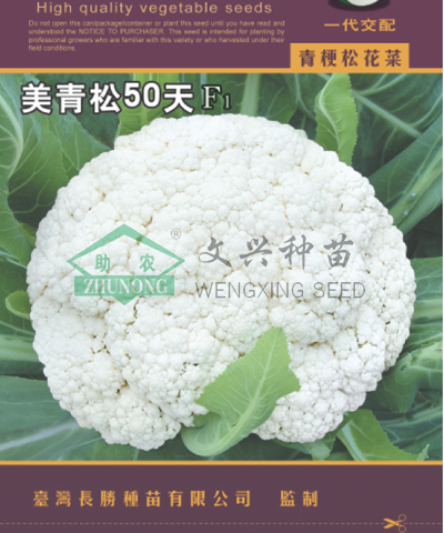 美青松50天散花菜
