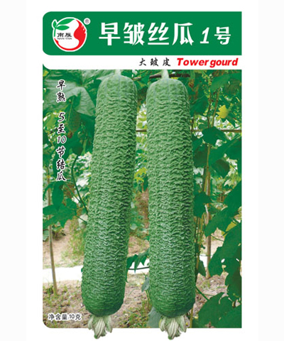 早皺絲瓜1號(hào)