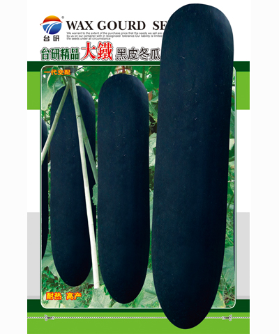 大鐵黑皮冬瓜